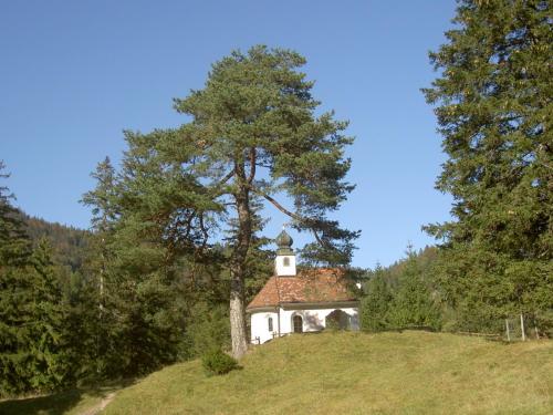 a small white building on a hill with a tree at Appartementhaus Alpenrose in Wallgau