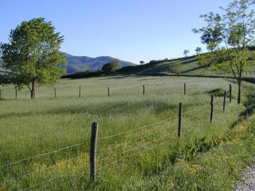 a fence in the middle of a field at Charming House in Tuscany with Pool in Monte Castelli