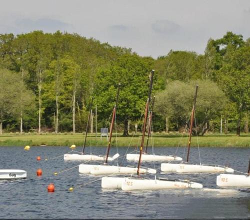 a group of boats sitting on the water at La cle des champs in Langonnet