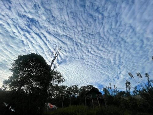 a blue cloudy sky with a tree and a building at Peacock Hill Glamp in Gampola
