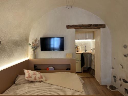 a living room with a bed and a tv on a wall at Charming Studio Saint Martin Vésubie in Saint-Martin-Vésubie