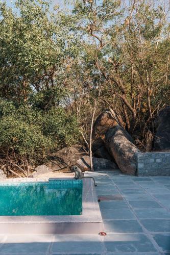 a swimming pool next to a tree and trees at Rawla Bisalpur in Jawāi Bāndh