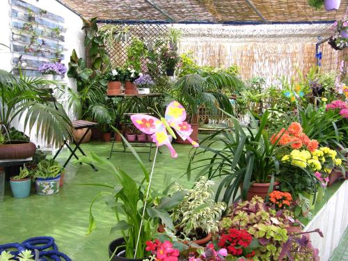 a garden room with plants and a butterfly umbrella at Apartamentos Calypso in Punta Umbría