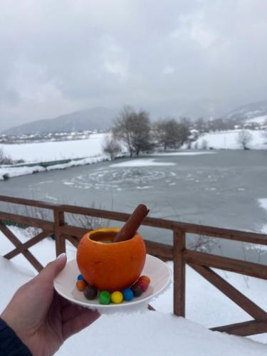 a person holding a carrot on a plate with a stick at Chadir yurd glamp in İsmayıllı