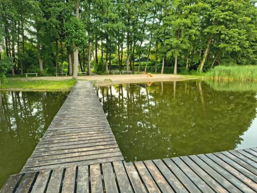 a wooden dock in the middle of a lake at Apartament w Tarnowie Jeziernym in Tarnów Jezierny