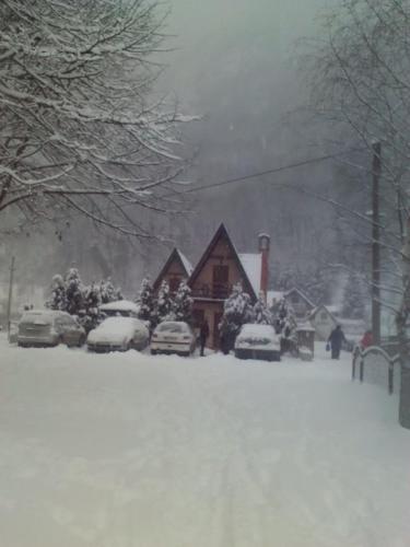 a house covered in snow with cars parked in front at Viola i Detelina Apartments in Perućac