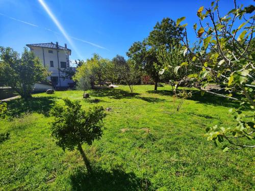 a green yard with a building in the background at Casa El Rozado in Piedralaves