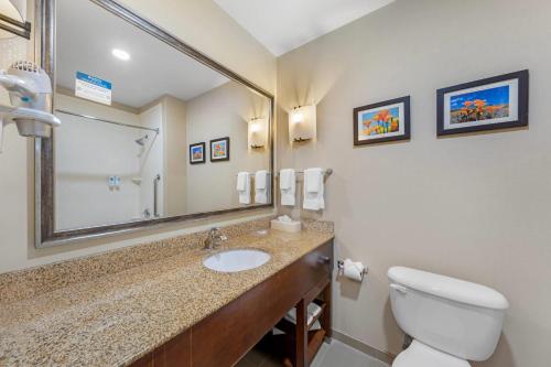 a bathroom with a sink and a toilet and a mirror at Comfort Suites Ontario Airport Convention Center in Ontario