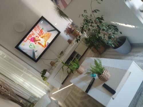 an overhead view of a living room with a television and plants at Maison 5 personnes in Le Pontet