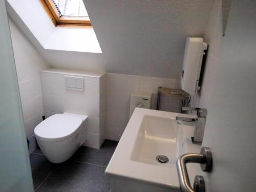 a bathroom with a white toilet and a sink at Takelage - Sonniger Balkon & Gartenidylle - perfekt mit Hund in Gollendorf