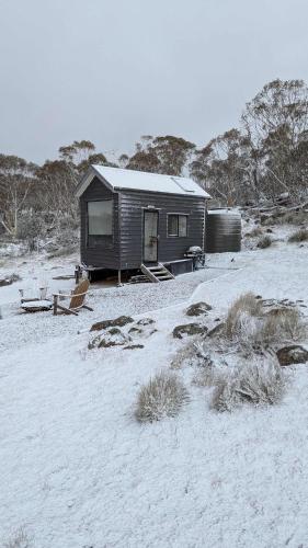 a small cabin in the snow in a field at Tiny Elsie in Kalkite