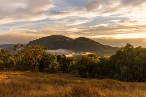 a view of a field with trees and mountains at Tiny Harry in Mudgee