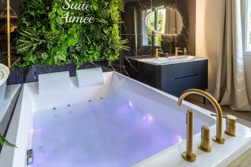 Fotografie z fotogalerie ubytování La Suite Aimée - Espace relaxant avec balnéo v destinaci Angoulême