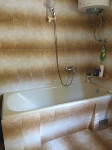 a bath tub with a shower in a bathroom at Rooms Ana in Kotor