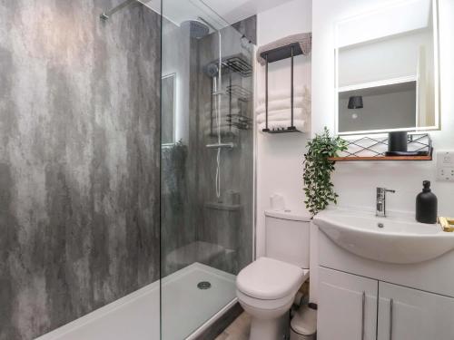 a bathroom with a toilet and a sink and a shower at 8 Wharfedale Mews in Otley