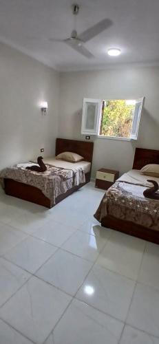 a bedroom with two beds and a window at Habob Nubian Guest House in Aswan