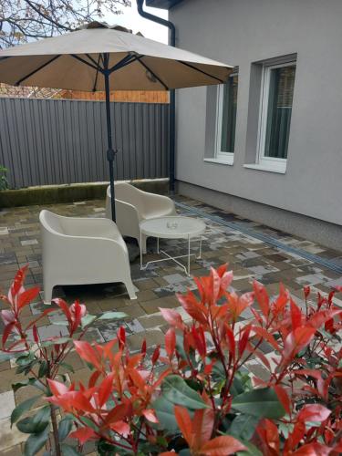 Κήπος έξω από το Gemini Apartman