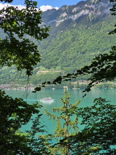 a boat on a lake with mountains in the background at Guardian Gate Lodge in Iseltwald