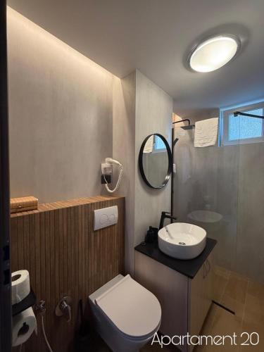 a bathroom with a toilet and a sink and a mirror at Apartamente Felix in Baile Felix