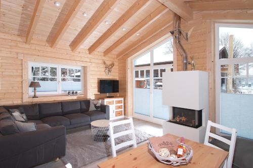 a living room with a couch and a fireplace at Haus beim See in Clausthal-Zellerfeld