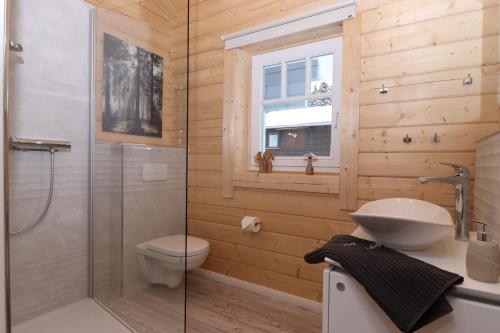 a bathroom with a shower and a toilet and a sink at Haus beim See in Clausthal-Zellerfeld