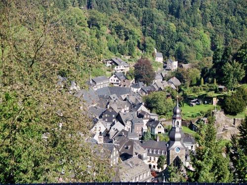 an aerial view of a village in the mountains at Bienenhaus 1 in Monschau