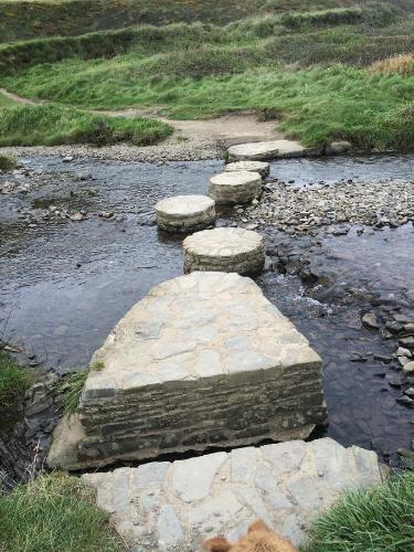 a group of stepping stones in a river at Home from Home B&B in Hartland