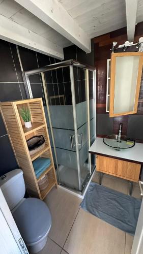 une salle de bain avec un lavabo, des toilettes et un miroir dans l'établissement T1 bis Duplex 500m de la plage, à La Rochelle