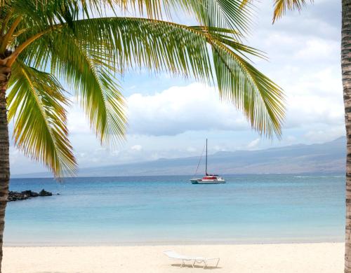 a beach with a boat in the water and a palm tree at HOUSE OF JOY Light and Airy 4BR KaMilo Home with Heated Pool and Spa in Waikoloa