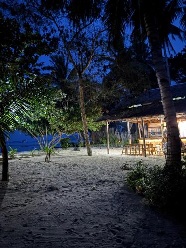 Příroda nedaleko kempu