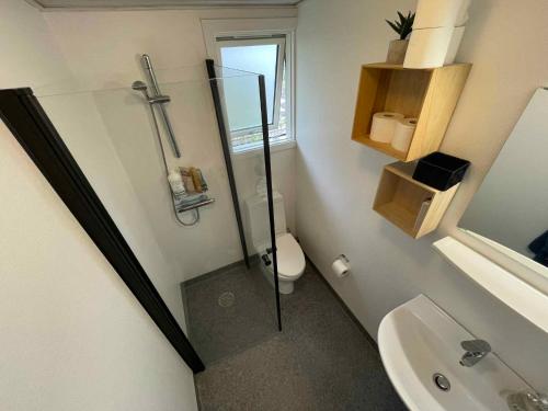 a bathroom with a shower and a toilet and a sink at Cottage With A View- 5 Min From Beach in Allinge
