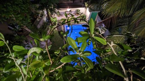 a blue pool in a yard with green plants at Soul Villas & Cabana Near Beach with Pool in Tangalle