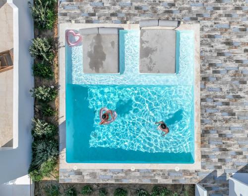 an overhead view of a swimming pool with two fish in it at Depis private villas Plaka Naxos in Plaka