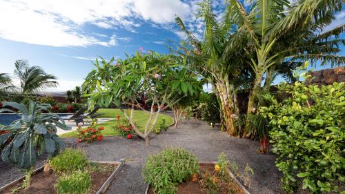 ISLAND SEABATICAL Restful 3BR Ainamalu Home with Private Poolにある庭