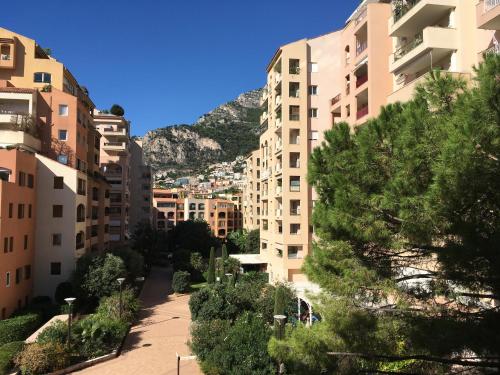 Monaco Fontvieille elegant apt - Luxury Terrace & Pool - Garden View photo 7