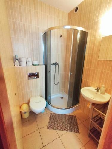 a bathroom with a shower and a toilet and a sink at Duet in Władysławowo