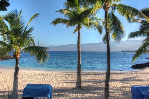a beach with two blue chairs and palm trees at SUNSET VILLA Spacious Mauna Lani 3BR Home With Private Beach Club in Waikoloa