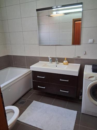 a bathroom with a sink and a toilet and a mirror at Manchev Apartments in Gevgelija