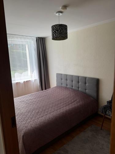 a bedroom with a bed with a purple bedspread and a window at Mammaste Apartment in Mammaste