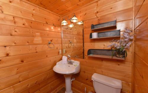 a bathroom with a sink and a toilet in a wooden wall at Bearfoot Lodge in Gatlinburg
