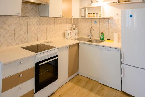 Kuchyň nebo kuchyňský kout v ubytování APARTMA RANČ LUŽE