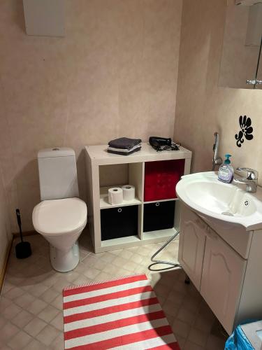 a bathroom with a toilet and a sink at Harmonia2 in Keminmaa