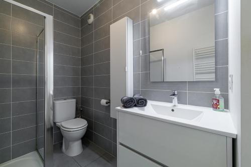 une salle de bain avec toilettes, lavabo et miroir dans l'établissement Charmant 2 pièces lumineux Quartier du Port, à Nice