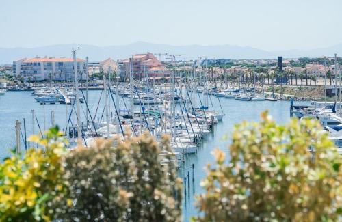 a bunch of boats docked in a harbor at Le Prestigieux Accès direct Port et Plage in Le Barcarès