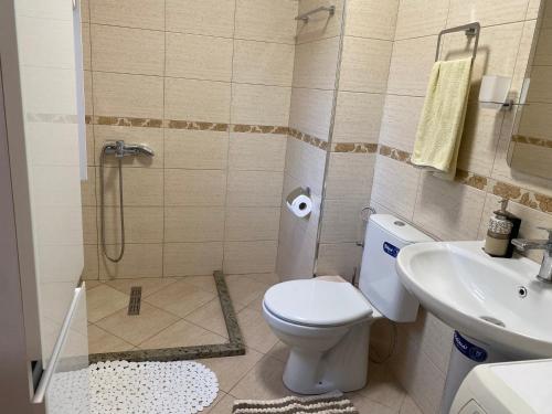 a bathroom with a toilet and a sink and a shower at Vacation Home Ilia in Përmet