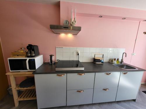 Η κουζίνα ή μικρή κουζίνα στο Appartement 3 met terras aan de tuin van Op de Roemte