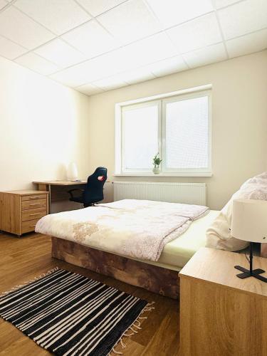 a bedroom with a large bed and a window at V srdci mesta II in Stará Turá