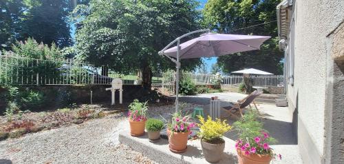 a patio with plants in pots and an umbrella at Grand gite familial 5 chambres à Ally, dans le Cantal à côté de Salers in Ally