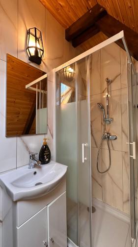 a bathroom with a sink and a shower at Cabana Arunia in Buninginea