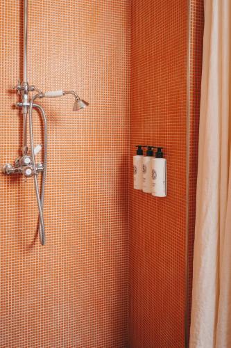 a bathroom with a shower with two bottles on the wall at Hôtel Des Grands Voyageurs in Paris